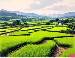 2025年绿肥红瘦是啥意思