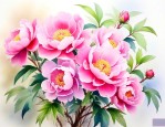 2月份有什么花是盛开的