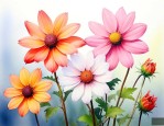 花语代表友谊长存的花