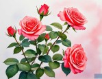 2025年月季花是夏天的吗