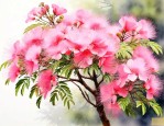 合欢树什么季节剪枝好
