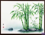 观音竹怎么养才能更旺盛