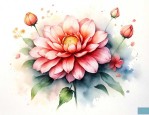 什么花的花期最长又香