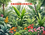2025年植物大全绿植花卉