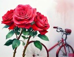 成都玫瑰花在哪里批发