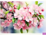 海棠树开花是什么样的