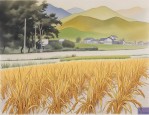 2025年稻谷种子怎么催芽