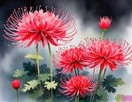 2025年彼岸花花语是什么