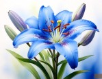 蓝色的百合花代表什么