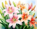 描写百合花的排比句子