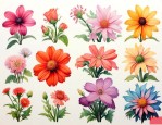 各个花的花语代表什么