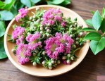 新鲜三七花怎么吃最好