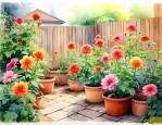 家里小院适合种什么花