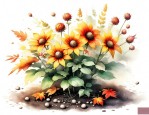 秋季适合种的花卉种子