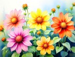 9月份什么花开的最好
