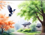 家有梧桐树自有凤来栖