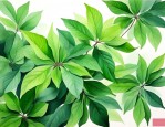 绿叶30的寓意和象征