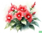 凤仙花喜什么
