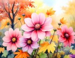 秋天什么花好看又好养