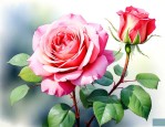 月季花什么时候插能活