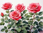 2025年玫瑰花插种植方法