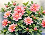 2025年开花好看好养的花