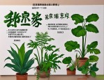2025年北京植物种子报价