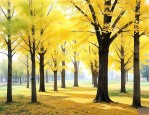 银杏树北方适合种植吗