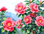 二年级正月山茶满盆开