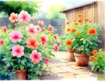 什么花适合在院子里种植