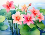 一帆风顺花水养殖方法