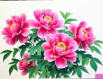 代表安徽的花是什么花