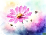 格桑花 意境