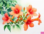 凌霄花有什么寓意和象征