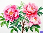 金枝玉叶怎样可以开花