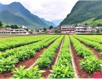 2025年四川苗木苗木基地