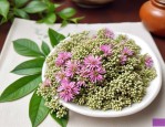 三七花可以放多久