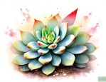 闪光兔多肉植物怎么养