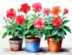 7月适合养什么盆栽花