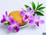 石斛花泡水有什么好处