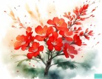 凤凰花的花语