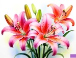 百合花股票前景怎么样