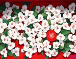 白花蛇舌草胶囊说明书