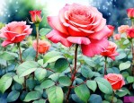 月季花适合庭院养殖吗