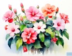 什么花四季开花又好养
