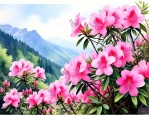 高山杜鹃花几月份开花