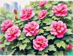 2025年成都哪里有芙蓉花