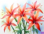 曼陀罗花又叫彼岸花吗