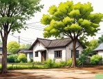 2025年农村屋后种什么树