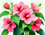 芙蓉花怎么养才能开花